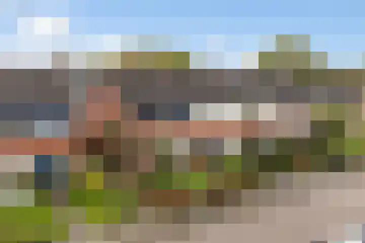 Kwartel 8 Dokkum