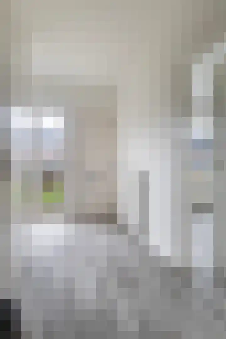 Kwartel 8 Dokkum thumbnail 11