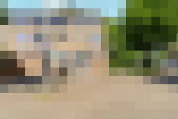 Kwartel 8 Dokkum thumbnail 21