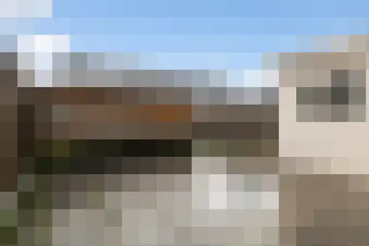 Kwartel 8 Dokkum thumbnail 21