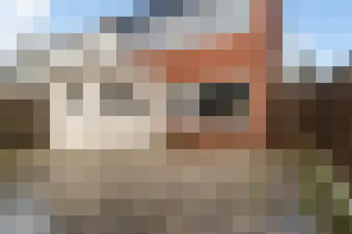 Kwartel 8 Dokkum thumbnail 22