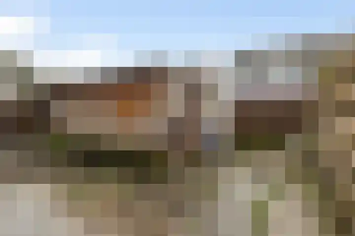 Kwartel 8 Dokkum thumbnail 23