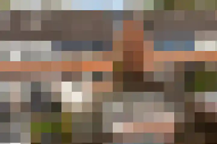 Kwartel 8 Dokkum thumbnail 43