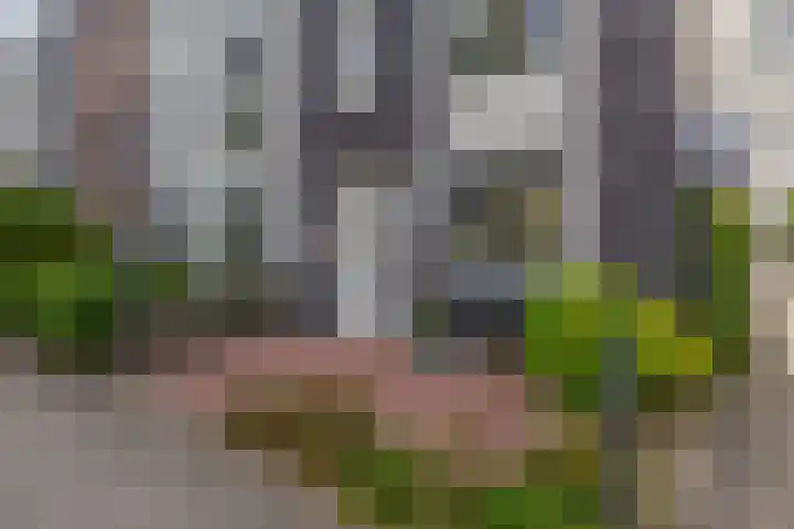 Kwartel 8 Dokkum thumbnail 45