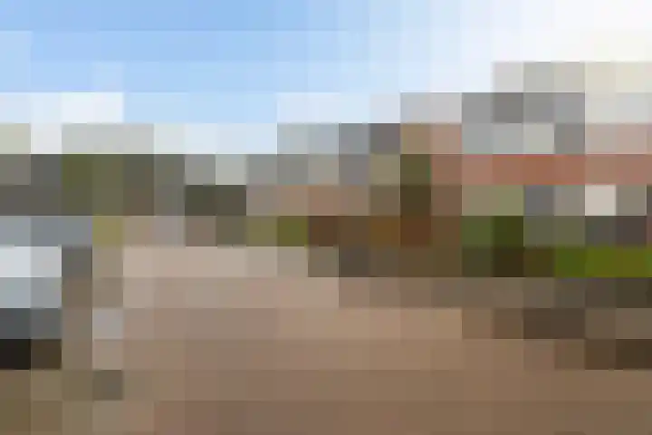 Kwartel 8 Dokkum thumbnail 6