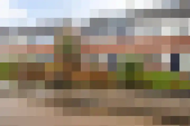 Kwartel 8 Dokkum thumbnail 8