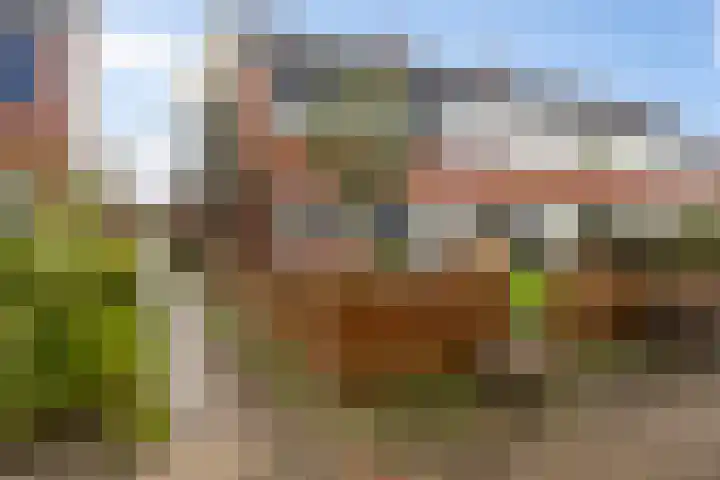 Kwartel 8 Dokkum thumbnail 9