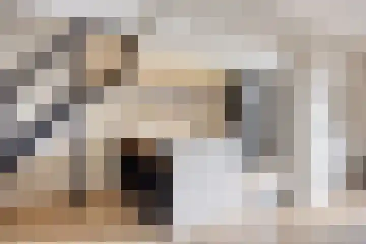 Kwarteldonk 24 Veghel thumbnail 10