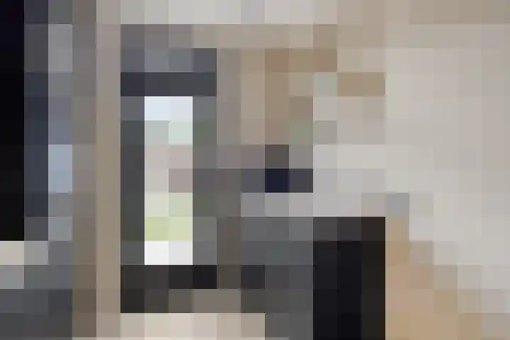 Kwarteldonk 24 Veghel thumbnail 11