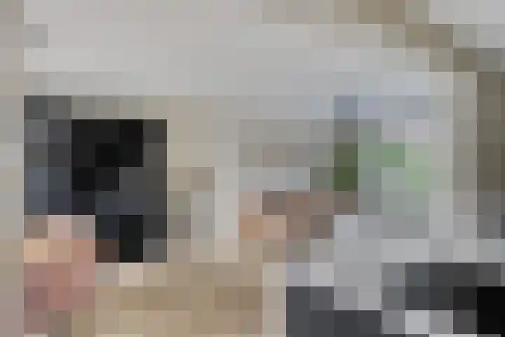 Kwarteldonk 24 Veghel thumbnail 13