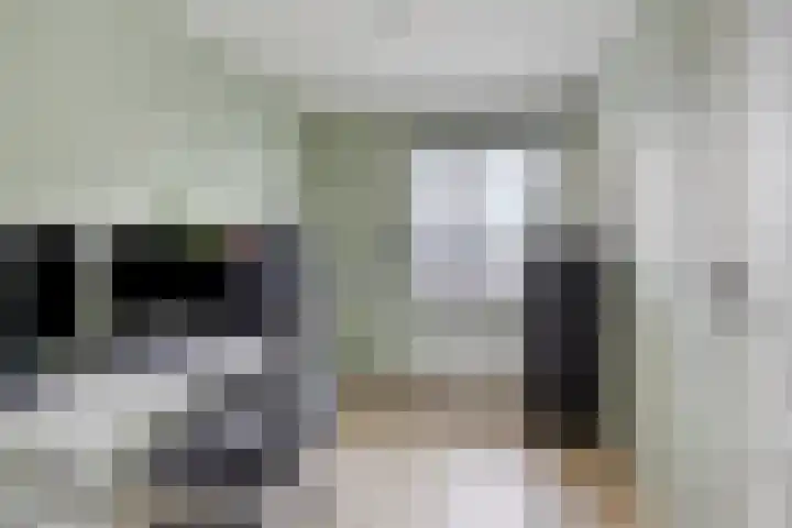 Kwarteldonk 24 Veghel thumbnail 22
