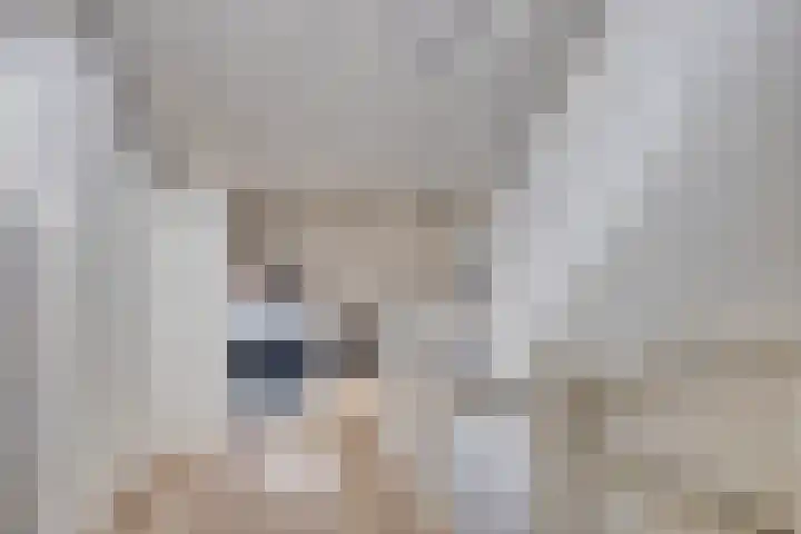 Kwarteldonk 24 Veghel thumbnail 24