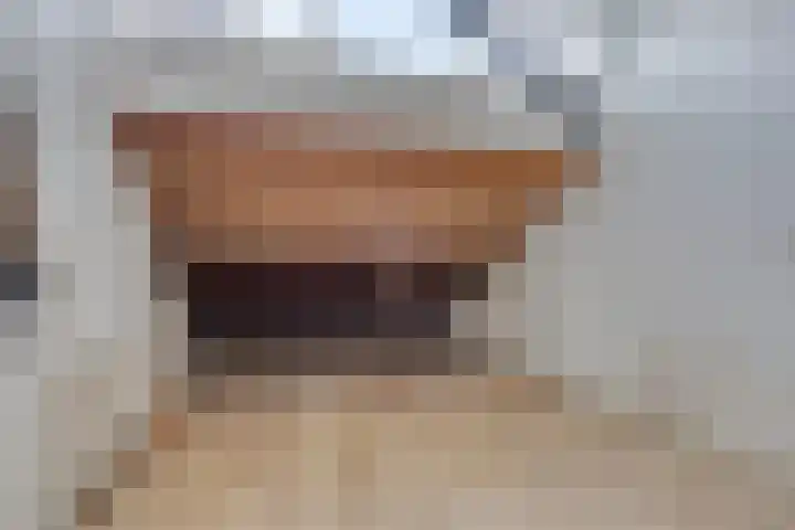 Kwarteldonk 24 Veghel thumbnail 25