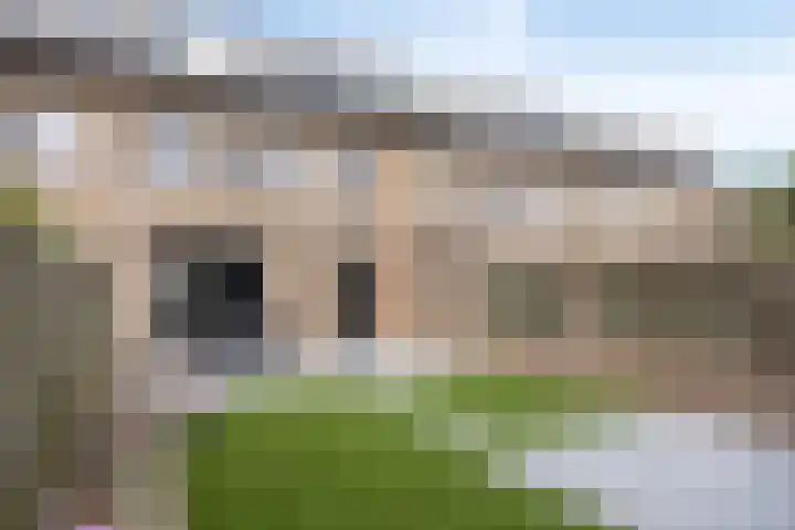 Kwarteldonk 24 Veghel thumbnail 26