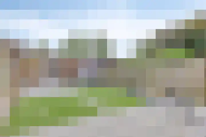 Kwarteldonk 24 Veghel thumbnail 27