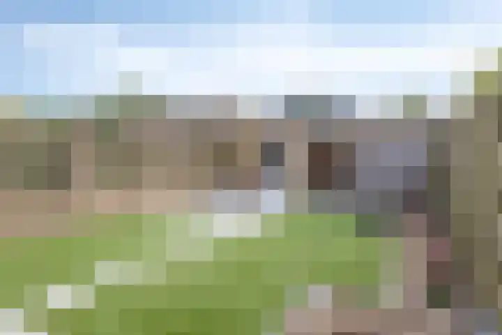 Kwarteldonk 24 Veghel thumbnail 28