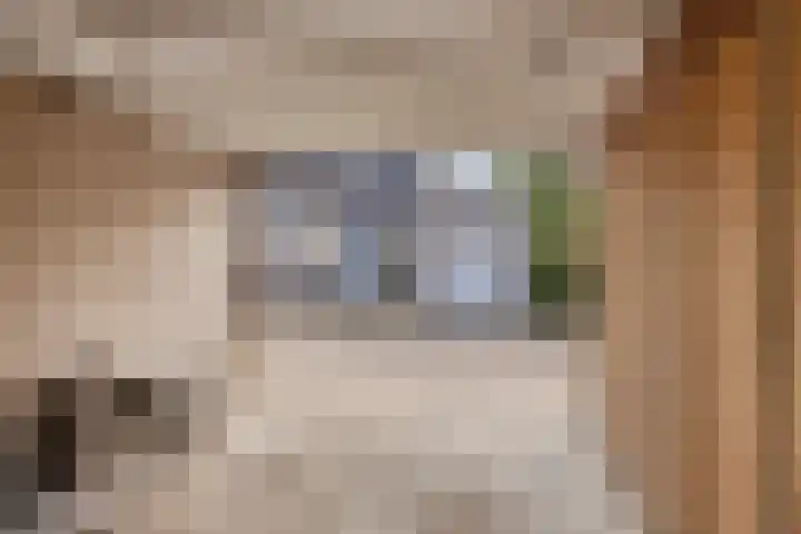 Kwarteldonk 24 Veghel thumbnail 29