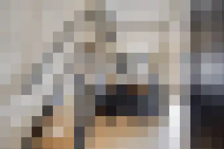 Kwarteldonk 24 Veghel thumbnail 4