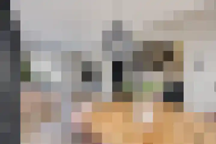 Kwarteldonk 24 Veghel thumbnail 5