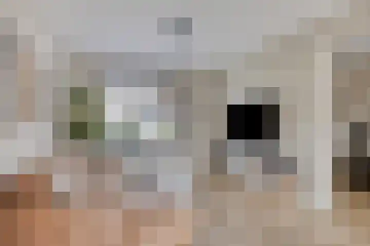 Kwarteldonk 24 Veghel thumbnail 6