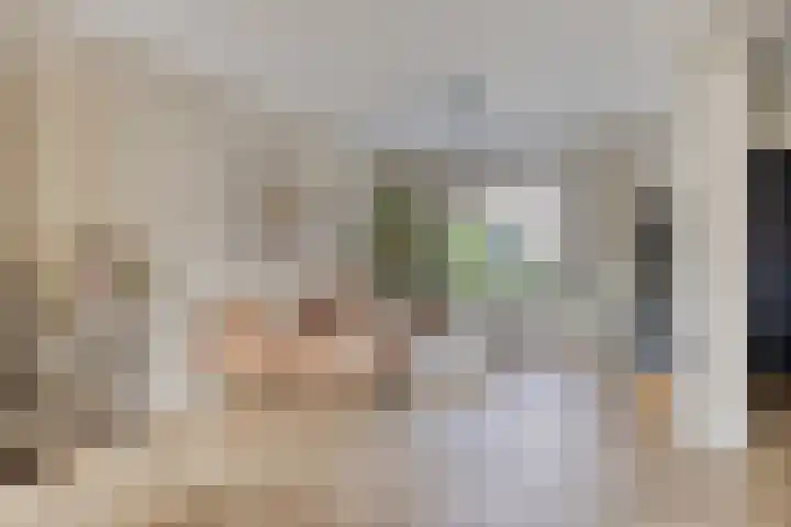 Kwarteldonk 24 Veghel thumbnail 7