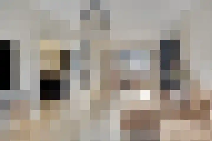 Kwarteldonk 24 Veghel thumbnail 8