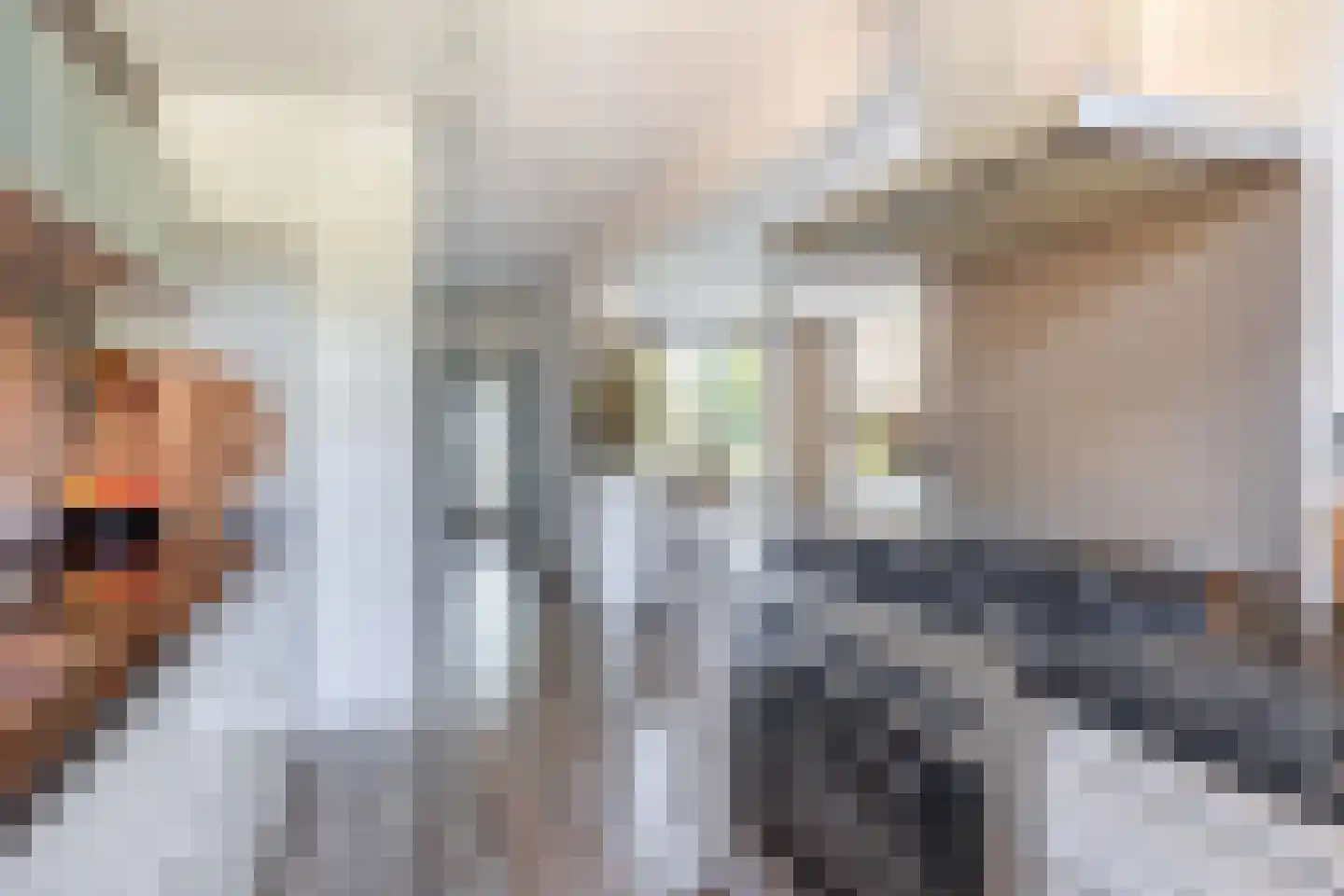 Kwarteldonk 33 Veghel thumbnail 10