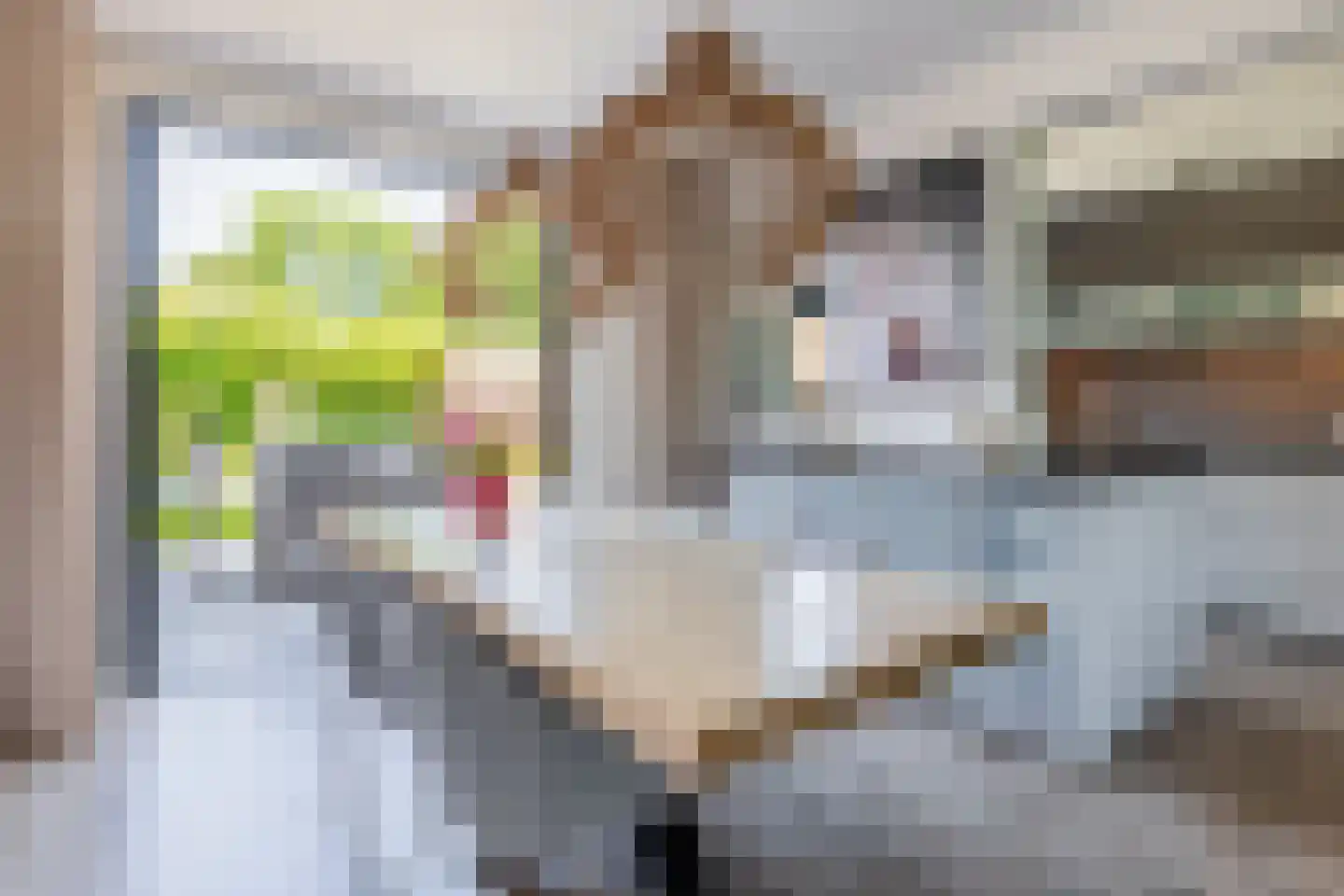 Kwarteldonk 33 Veghel thumbnail 12