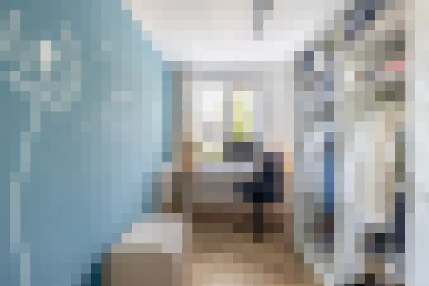 Kwarteldonk 33 Veghel thumbnail 21