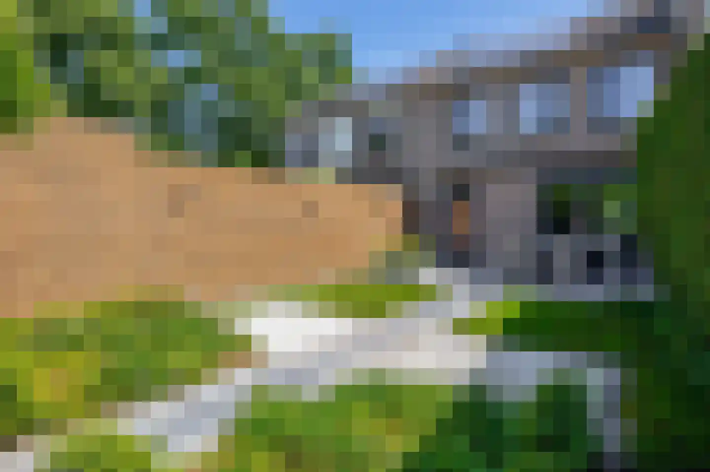 Kwarteldonk 33 Veghel thumbnail 25