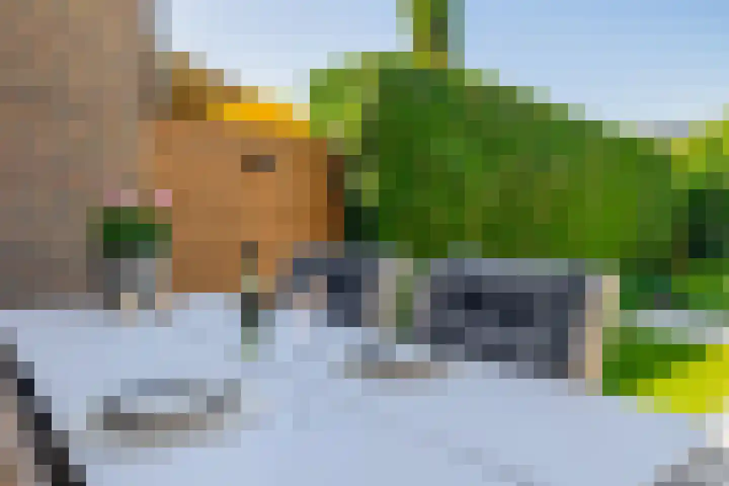 Kwarteldonk 33 Veghel thumbnail 27