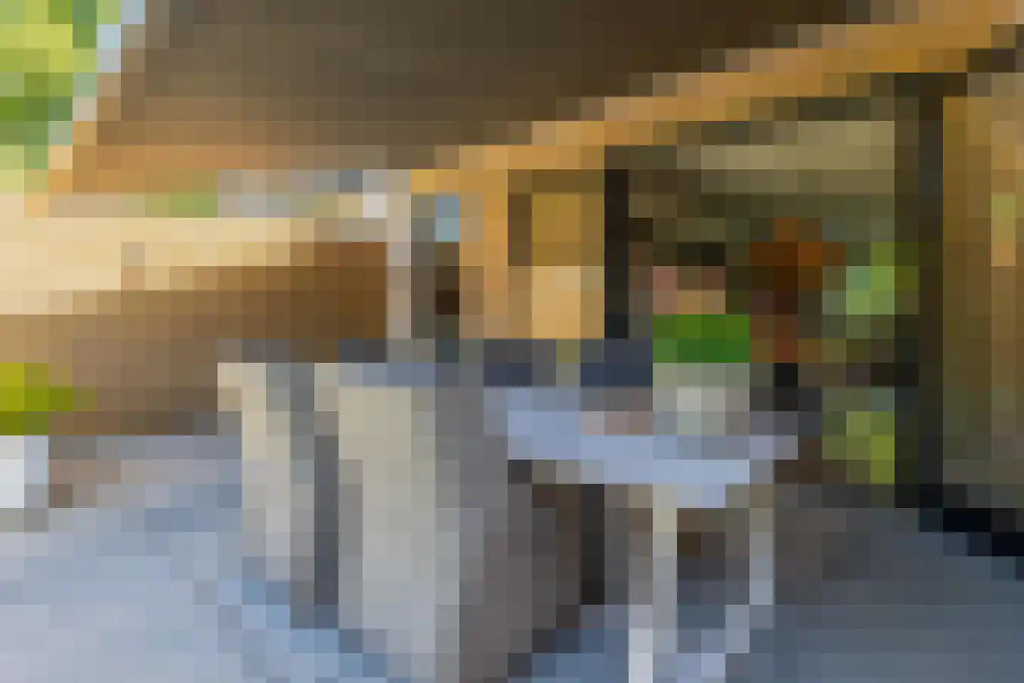 Kwarteldonk 33 Veghel thumbnail 30