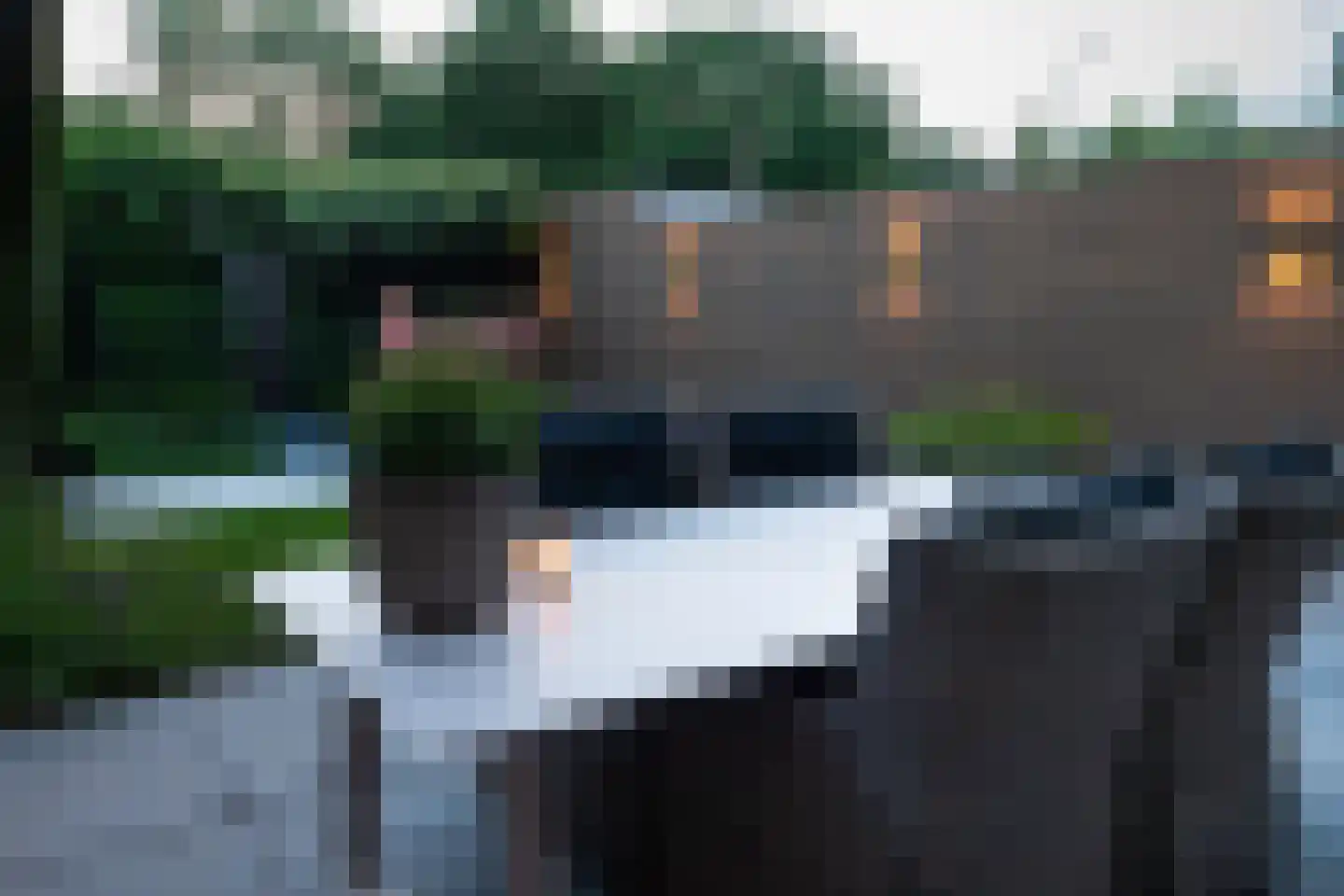 Kwarteldonk 33 Veghel thumbnail 33