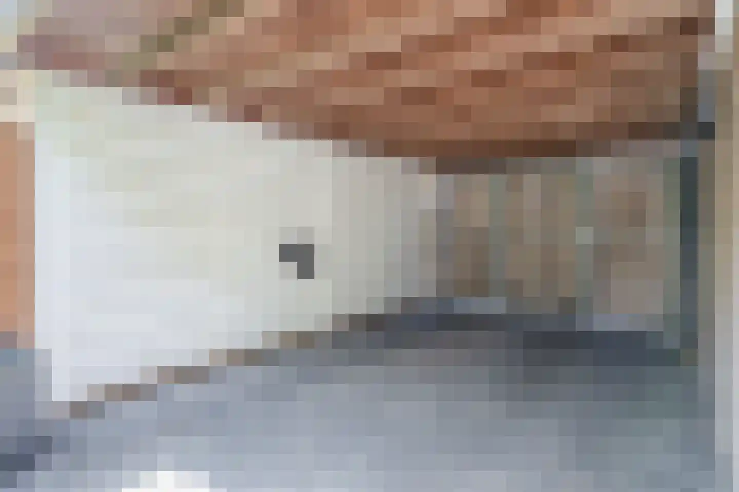 Kwarteldonk 33 Veghel thumbnail 34
