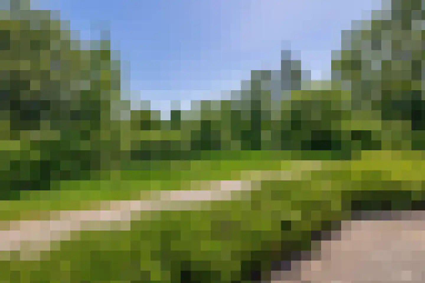 Kwarteldonk 33 Veghel thumbnail 38