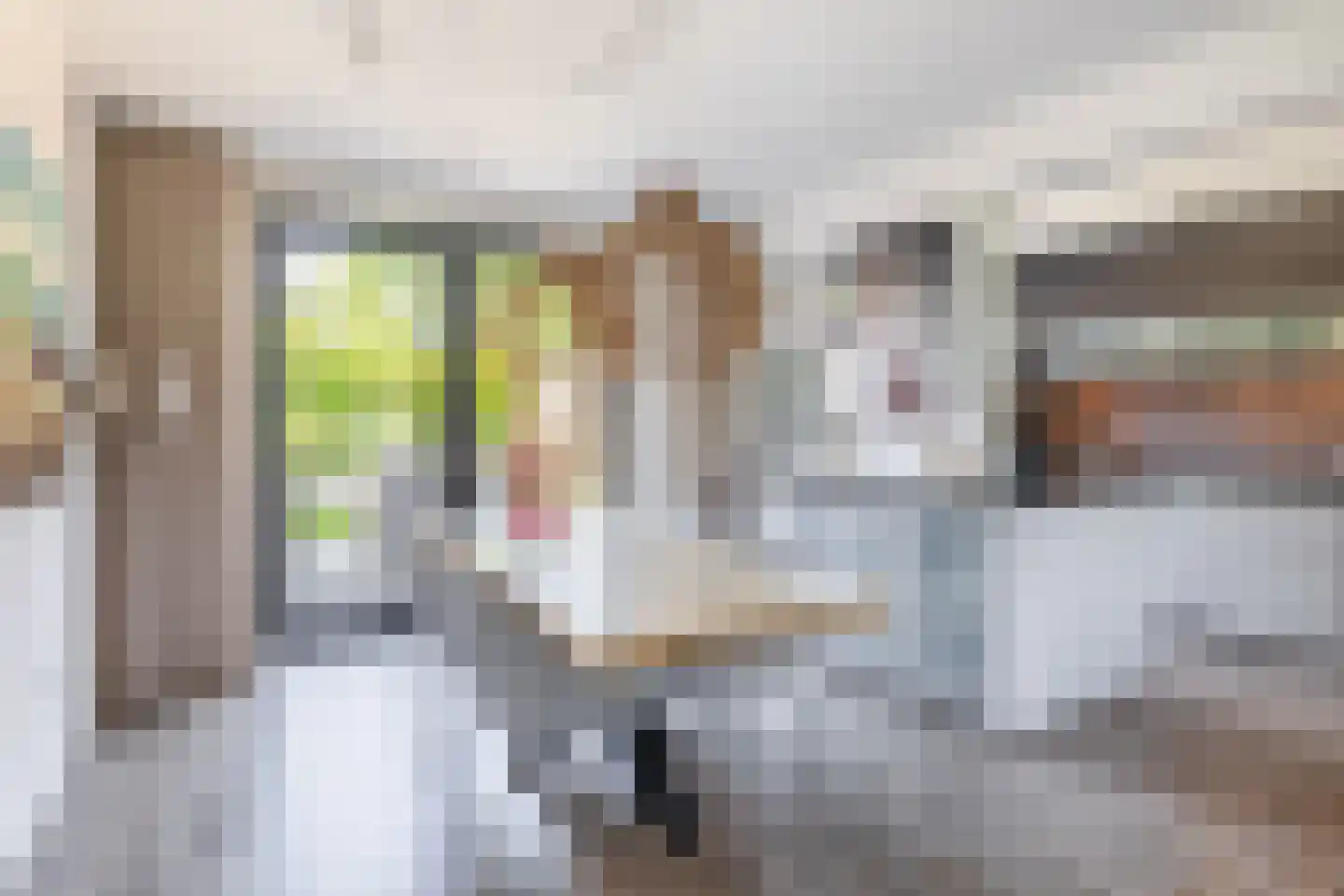 Kwarteldonk 33 Veghel thumbnail 4