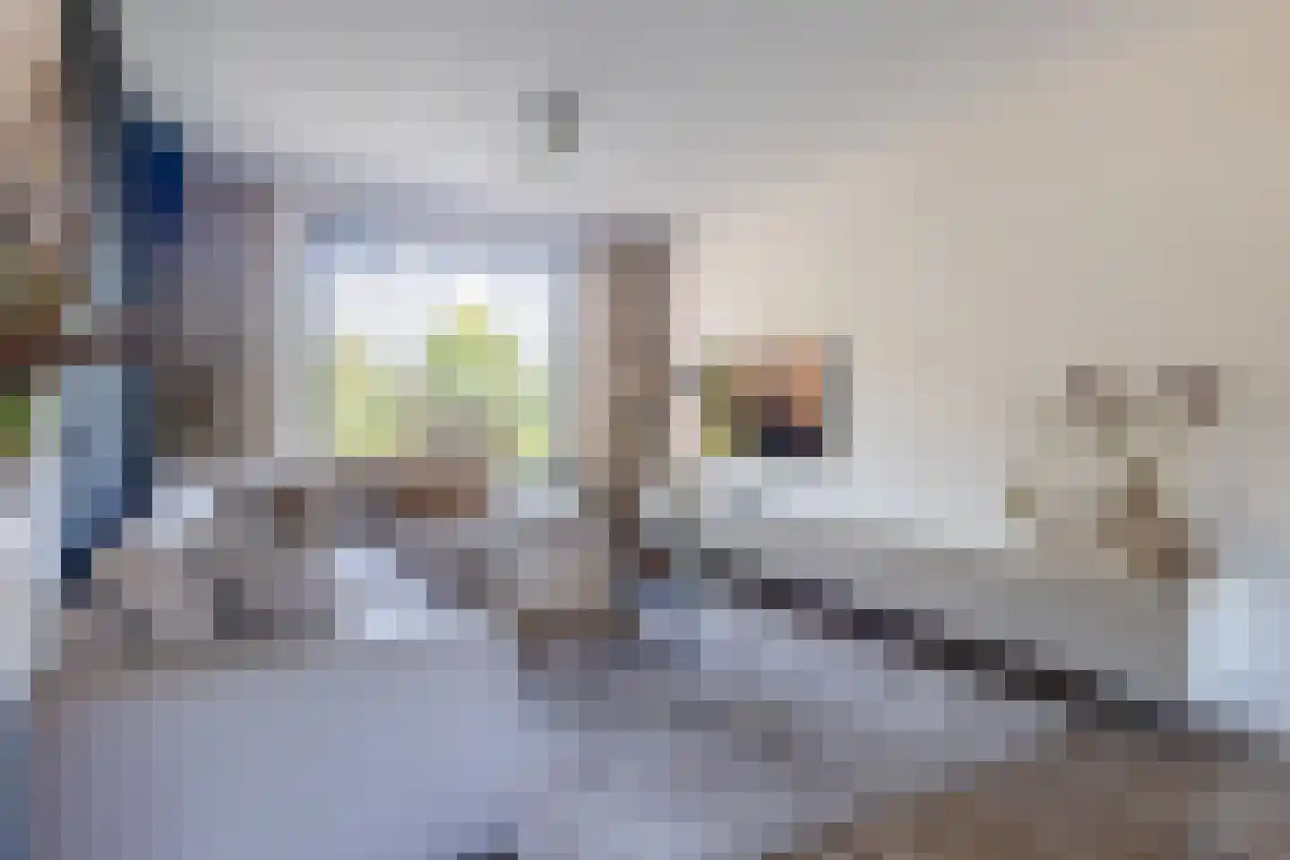 Kwarteldonk 33 Veghel thumbnail 5