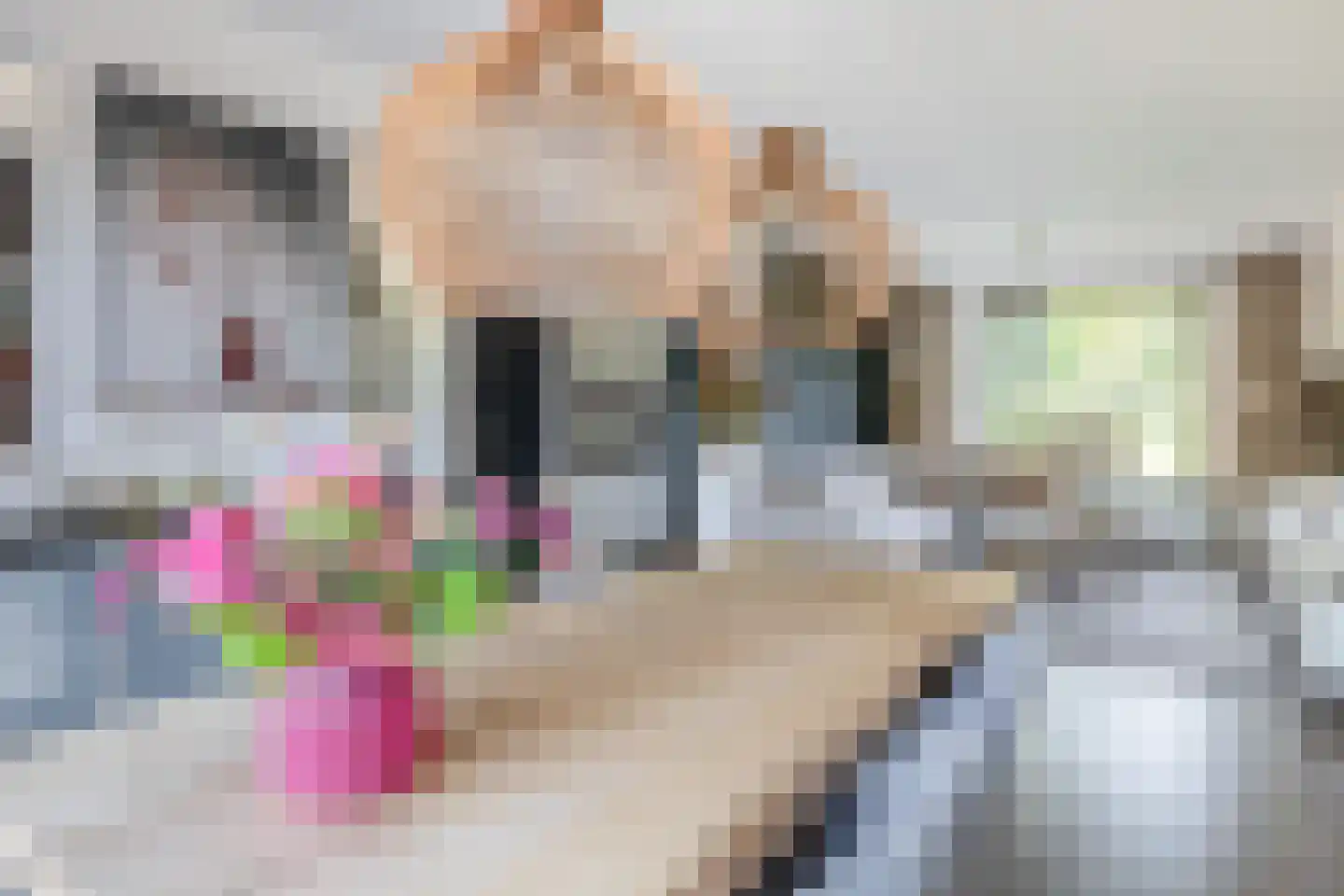 Kwarteldonk 33 Veghel thumbnail 7