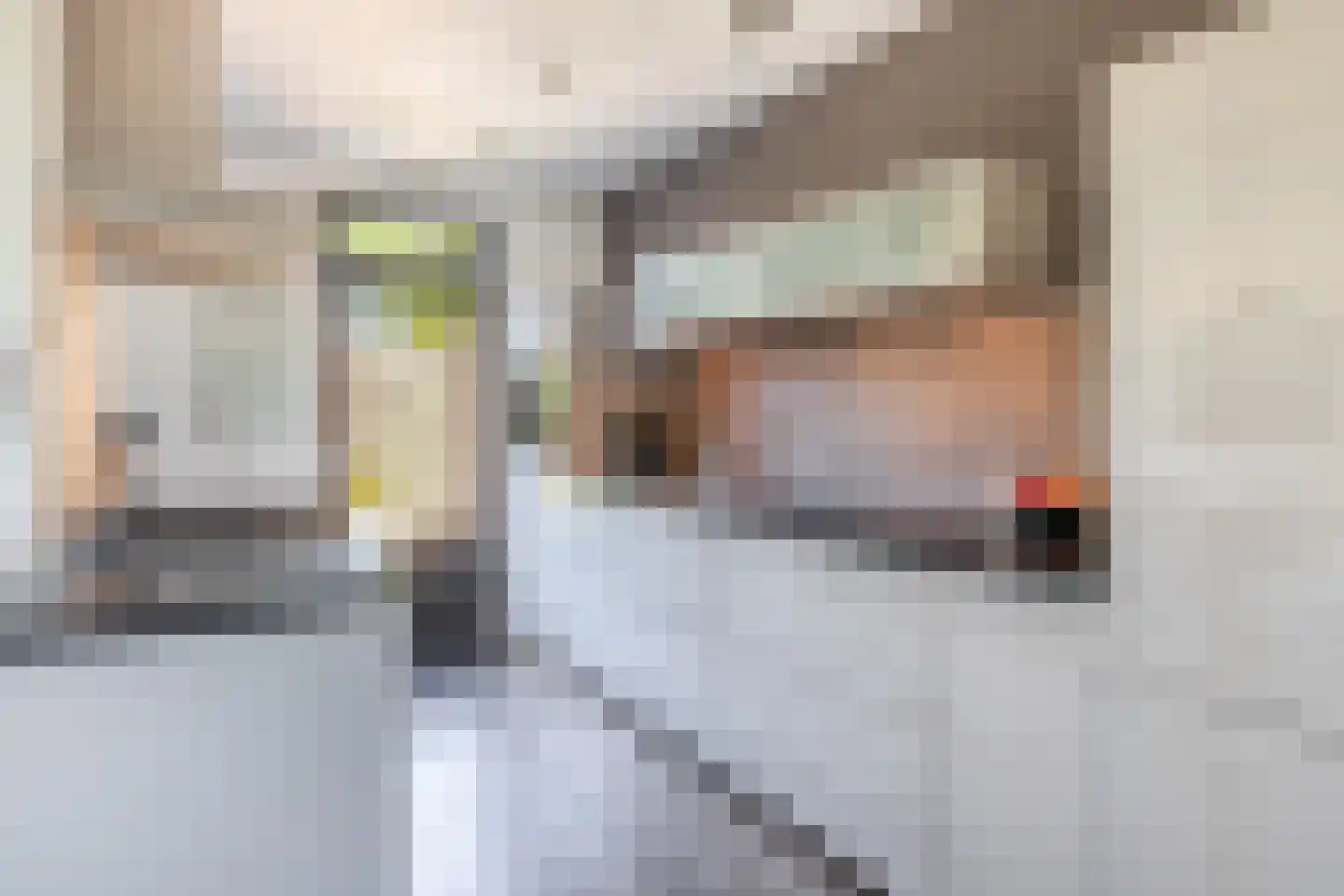 Kwarteldonk 33 Veghel thumbnail 8