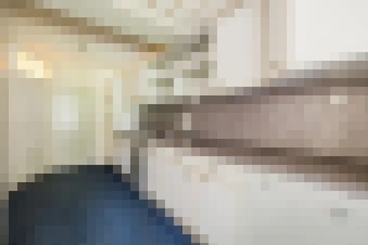 Kwartelhoek 12 Vroomshoop thumbnail 14