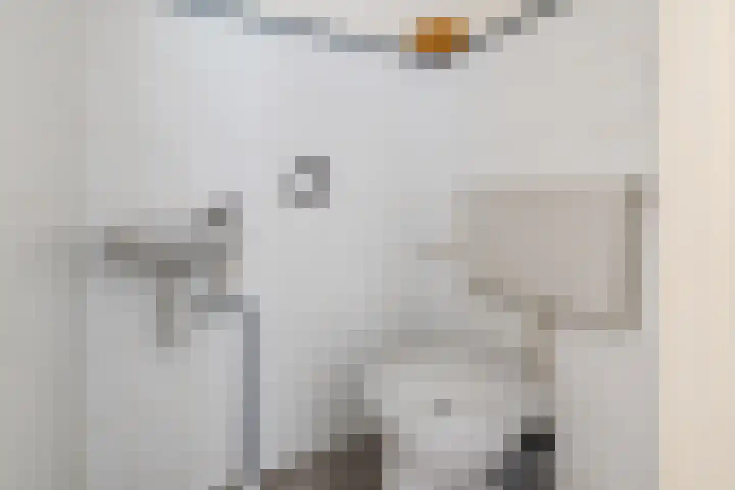 Kwartelhoek 12 Vroomshoop thumbnail 18