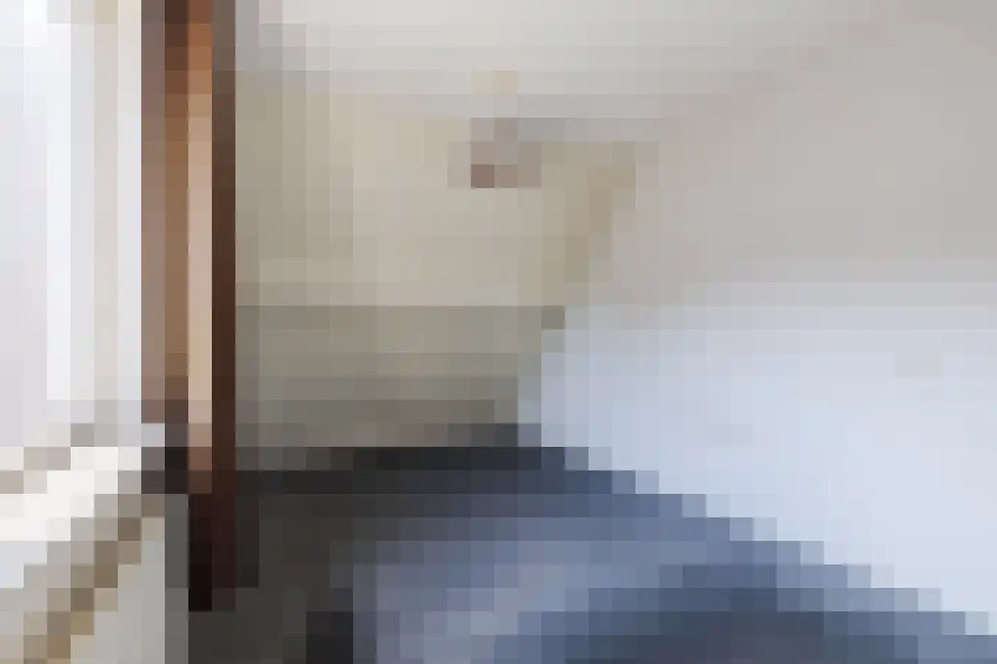 Kwartelhoek 12 Vroomshoop thumbnail 20