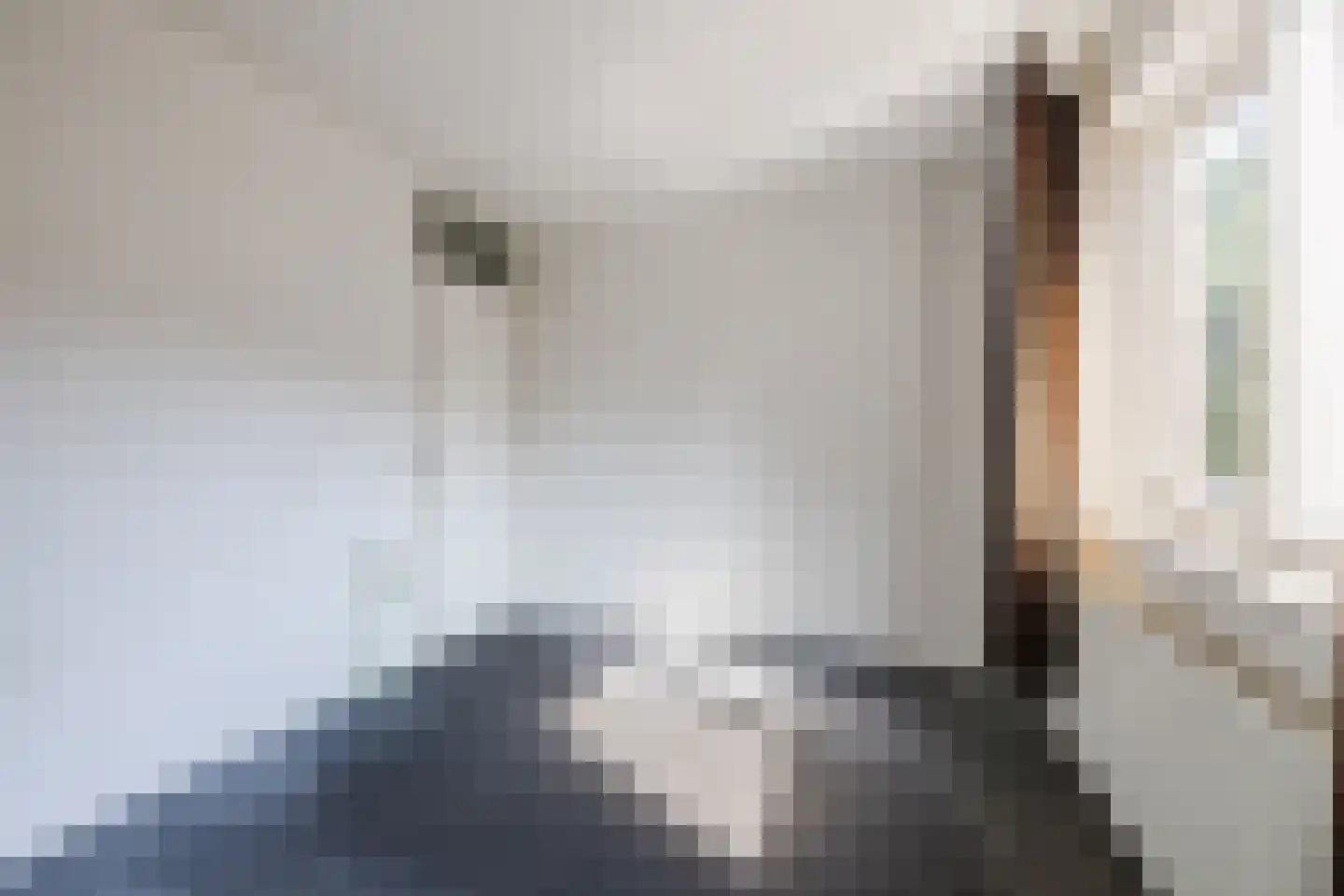 Kwartelhoek 12 Vroomshoop thumbnail 21