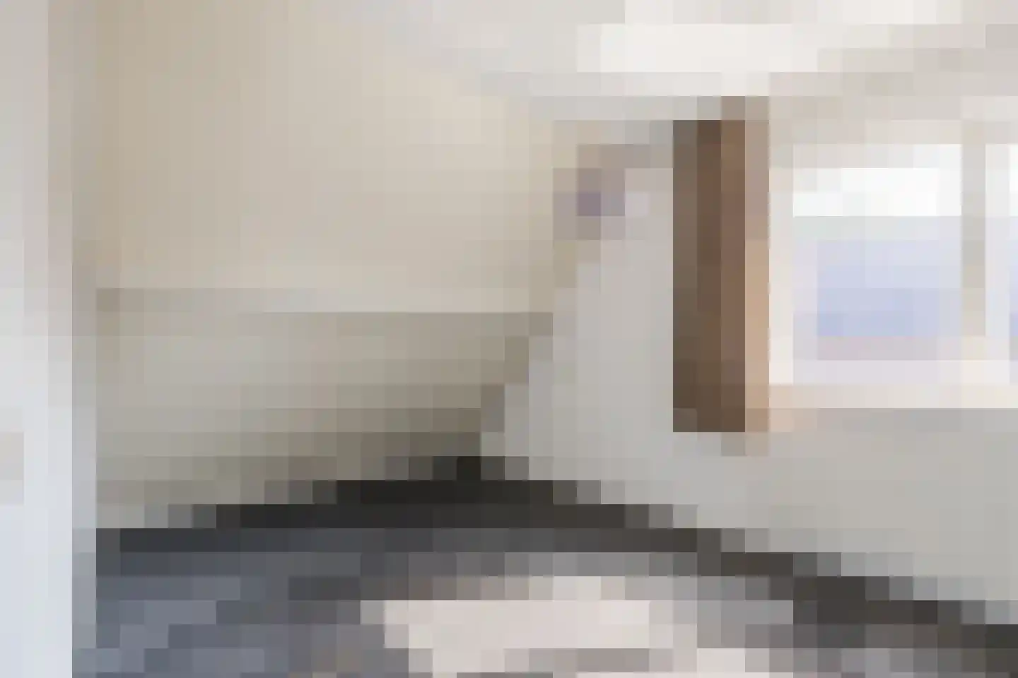 Kwartelhoek 12 Vroomshoop thumbnail 22