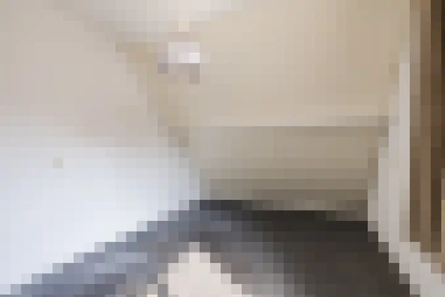 Kwartelhoek 12 Vroomshoop thumbnail 23