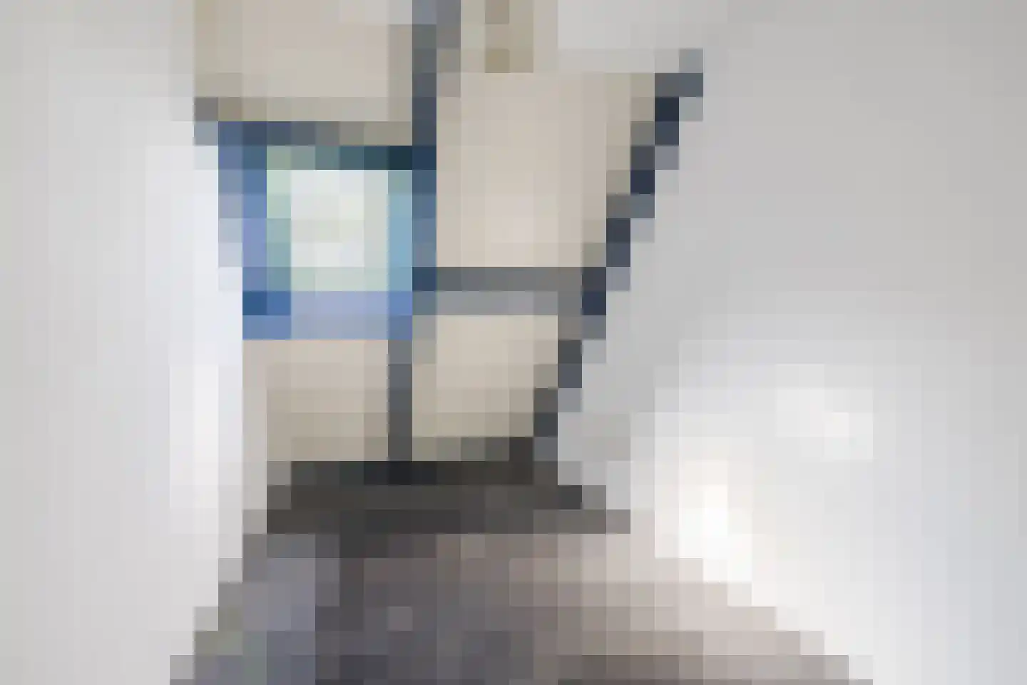 Kwartelhoek 12 Vroomshoop thumbnail 25