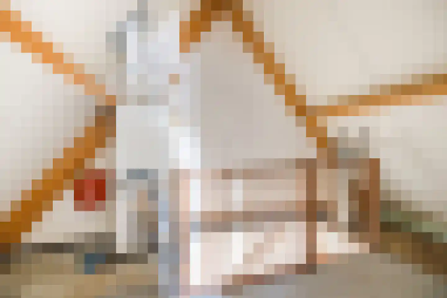 Kwartelhoek 12 Vroomshoop thumbnail 31
