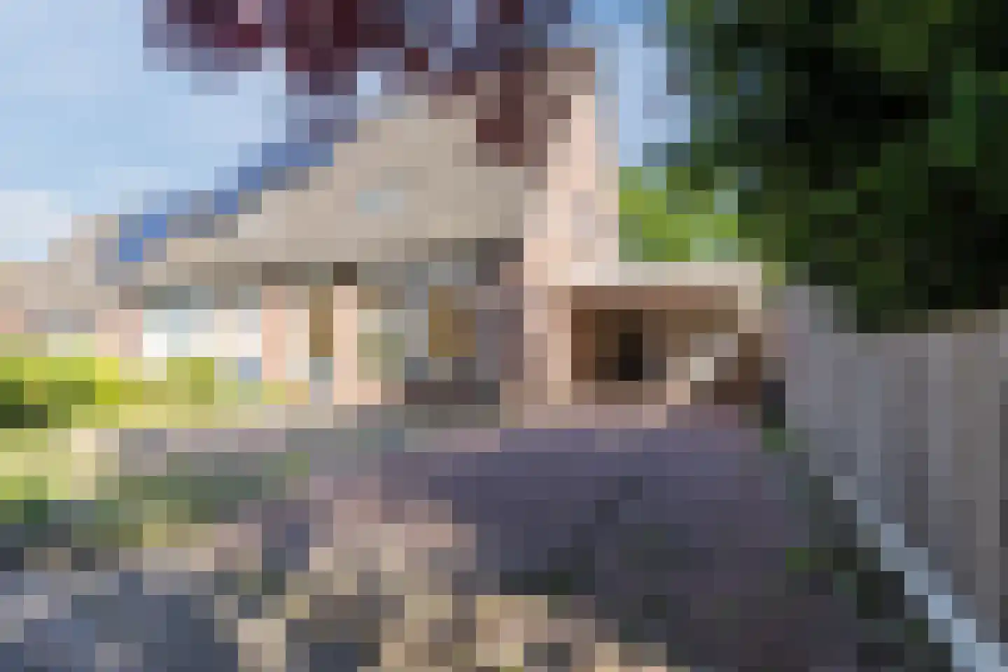 Kwartelhoek 12 Vroomshoop thumbnail 32