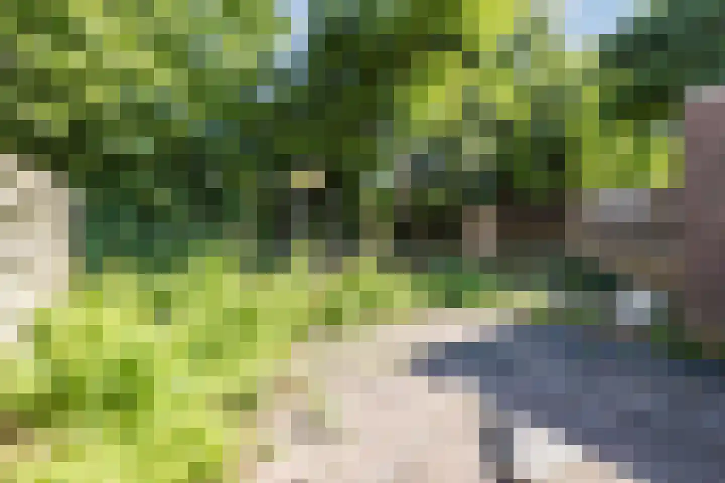 Kwartelhoek 12 Vroomshoop thumbnail 34