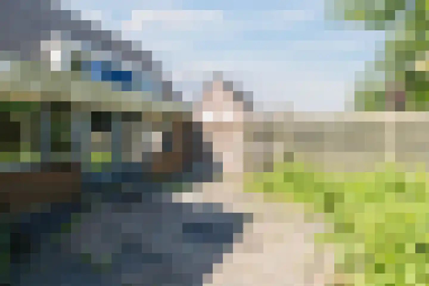 Kwartelhoek 12 Vroomshoop thumbnail 35